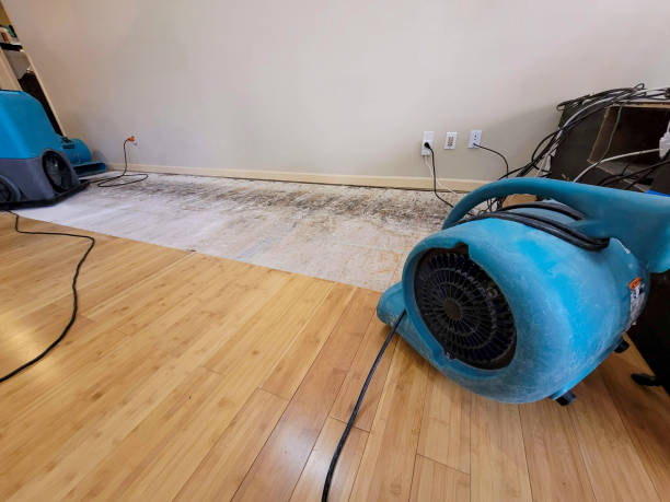 Professional Flood Damage Cleanup technician working in Bremen, OH